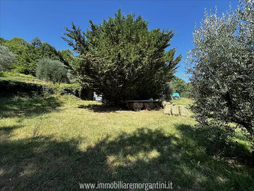 Immagine 7 di Terreno agricolo in vendita  in via di fuori 63 a Sarteano