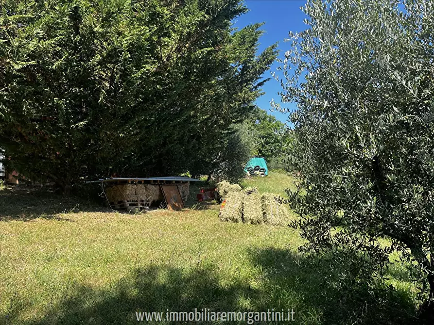 Immagine 8 di Terreno agricolo in vendita  in via di fuori 63 a Sarteano
