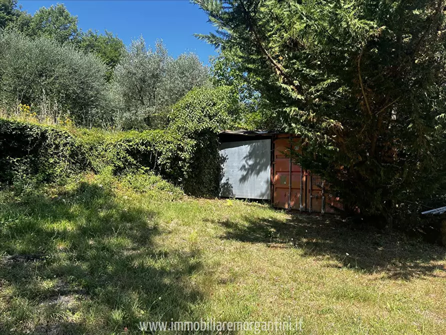 Immagine 9 di Terreno agricolo in vendita  in via di fuori 63 a Sarteano