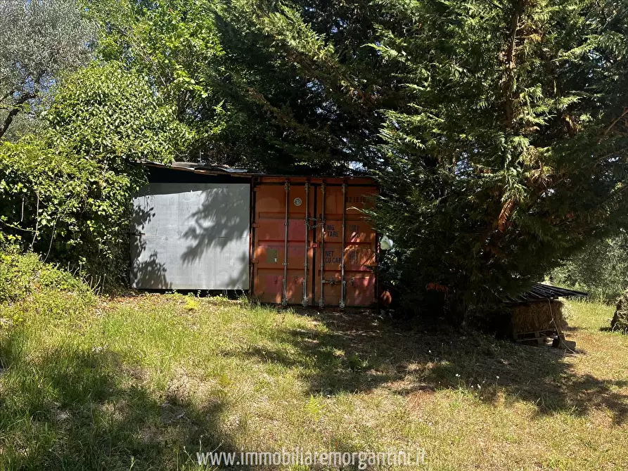 Immagine 10 di Terreno agricolo in vendita  in via di fuori 63 a Sarteano