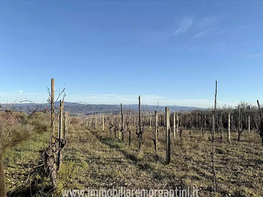 terreno agricolo in vendita a Sarteano