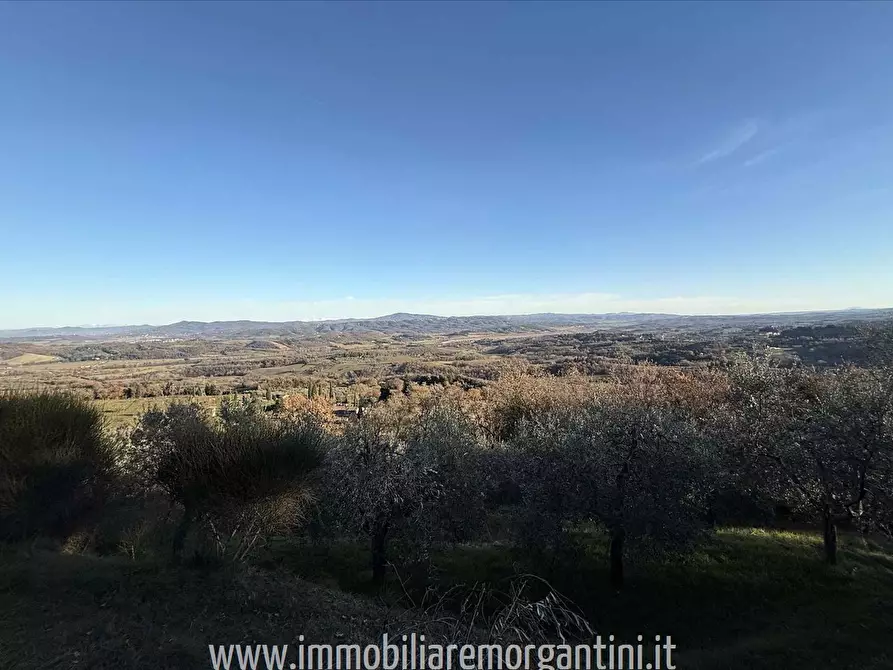 Immagine 7 di Terreno agricolo in vendita  a Sarteano