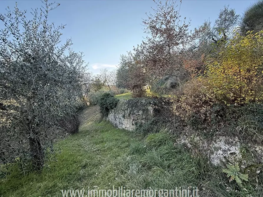 Immagine 4 di Terreno agricolo in vendita  a Sarteano