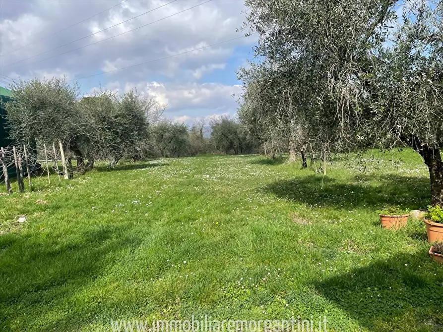 Immagine 4 di Rustico / casale in vendita  a Sarteano