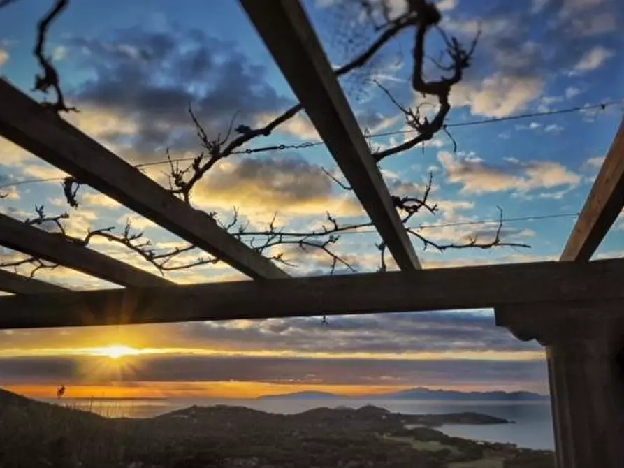 Immagine 1 di Villa in vendita  a Castiglione Della Pescaia