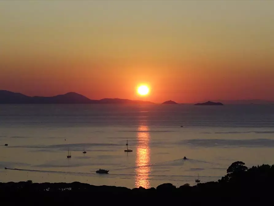 Immagine 5 di Villa in vendita  a Castiglione Della Pescaia