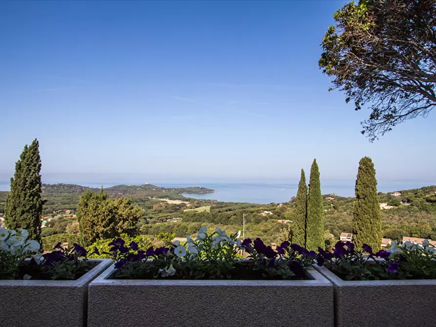Immagine 9 di Villa in vendita  a Castiglione Della Pescaia