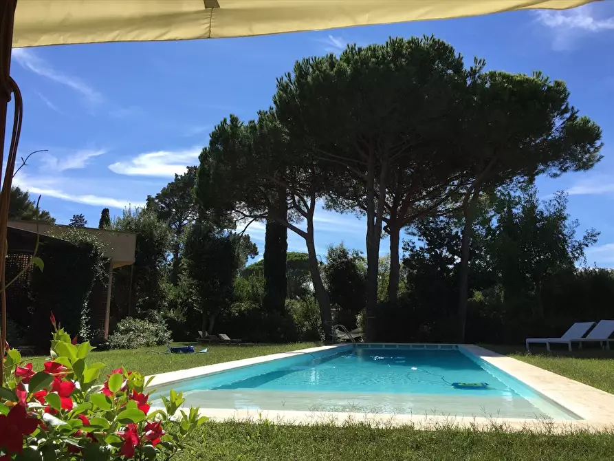 Immagine 6 di Villa in vendita  a Castiglione Della Pescaia