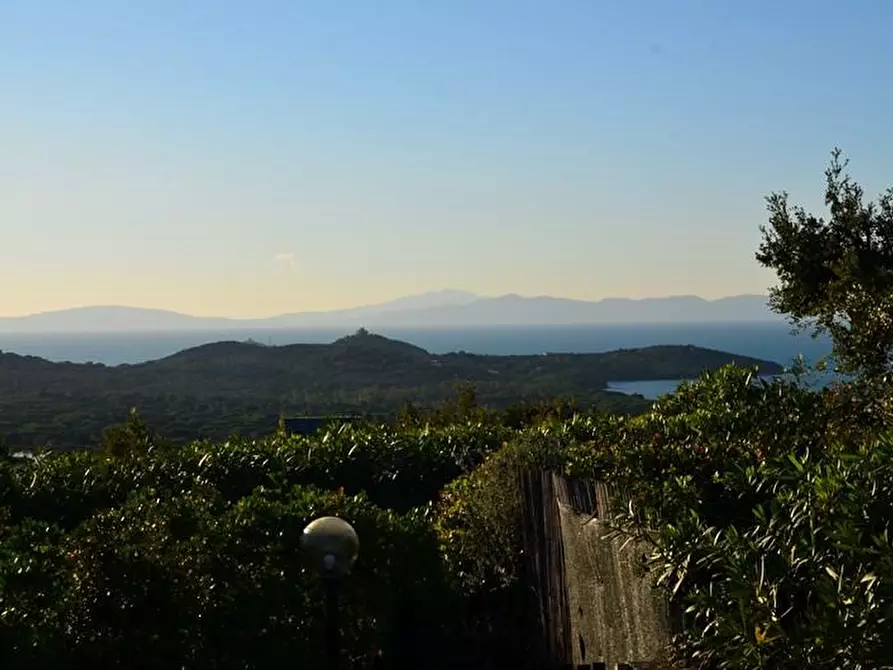 Immagine 4 di Villa in vendita  a Castiglione Della Pescaia