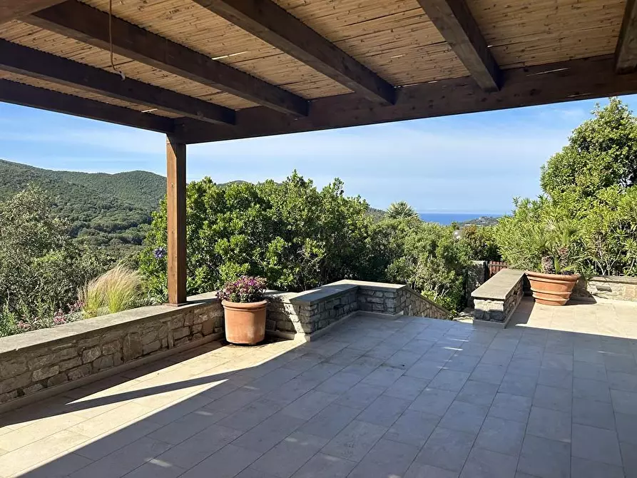 Immagine 6 di Villa in vendita  a Castiglione Della Pescaia