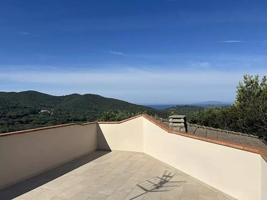 Immagine 8 di Villa in vendita  a Castiglione Della Pescaia