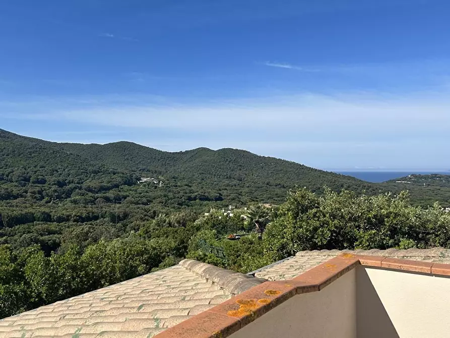 Immagine 9 di Villa in vendita  a Castiglione Della Pescaia