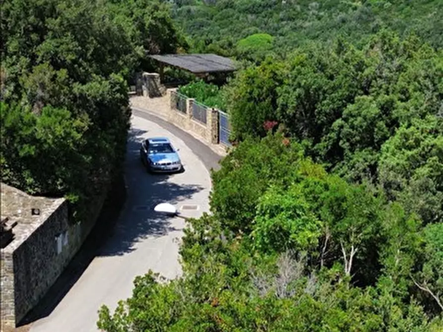 Immagine 2 di Villa in vendita  a Castiglione Della Pescaia