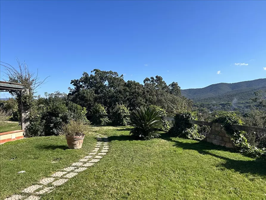 Immagine 7 di Villa in vendita  a Castiglione Della Pescaia