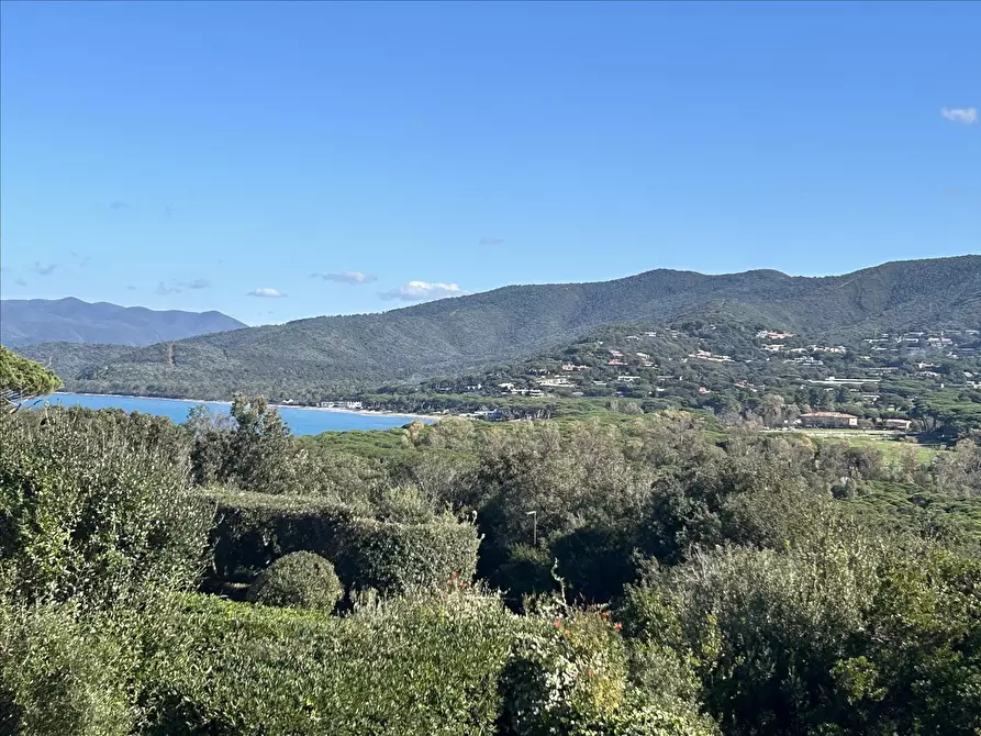 Immagine 5 di Villa in vendita  a Castiglione Della Pescaia