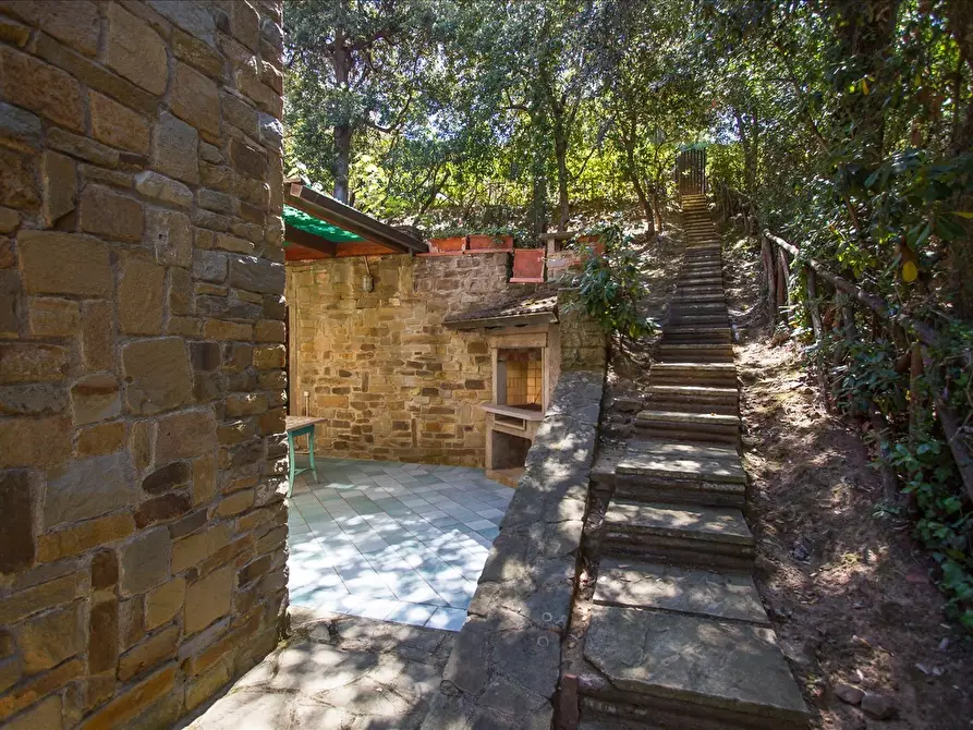 Immagine 4 di Villa in vendita  a Castiglione Della Pescaia