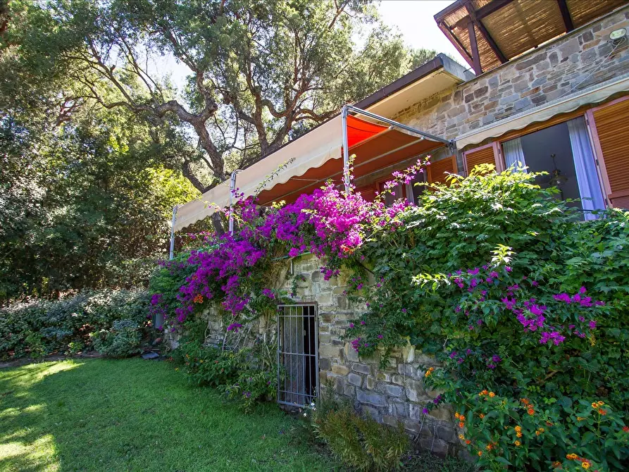 Immagine 6 di Villa in vendita  a Castiglione Della Pescaia