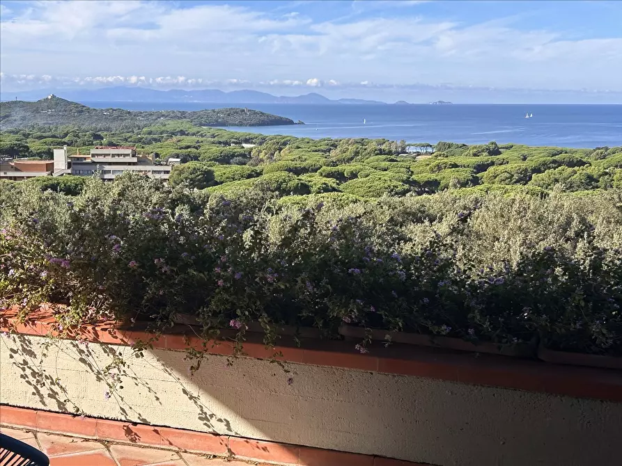 Immagine 7 di Villa in vendita  a Castiglione Della Pescaia