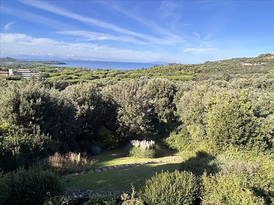 Immagine 6 di Villa in vendita  a Castiglione Della Pescaia