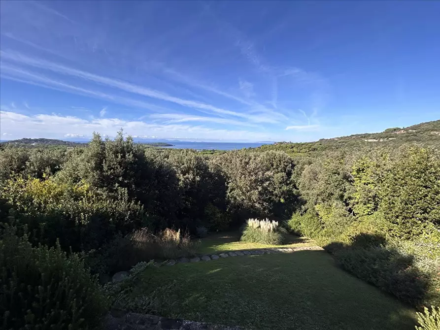 Immagine 5 di Villa in vendita  a Castiglione Della Pescaia