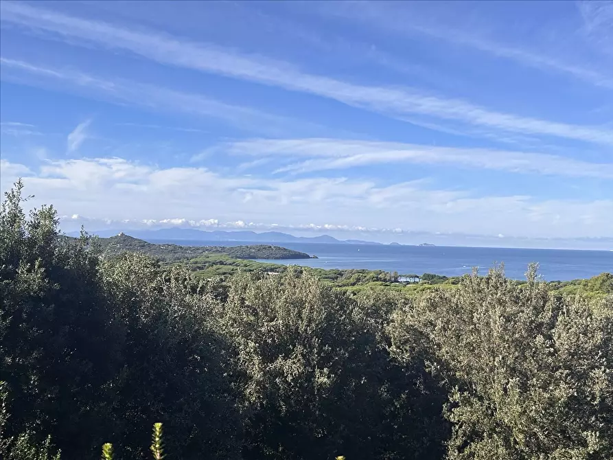 Immagine 3 di Villa in vendita  a Castiglione Della Pescaia