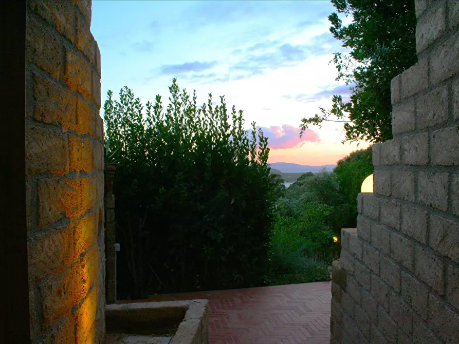 Immagine 3 di Villa in vendita  a Castiglione Della Pescaia