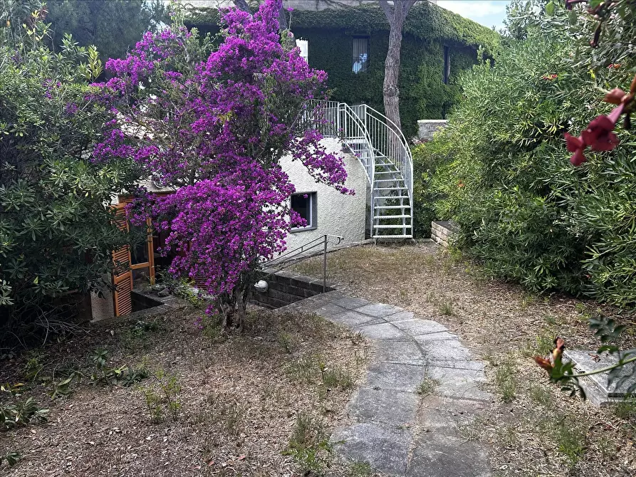 Immagine 6 di Appartamento in vendita  a Castiglione Della Pescaia