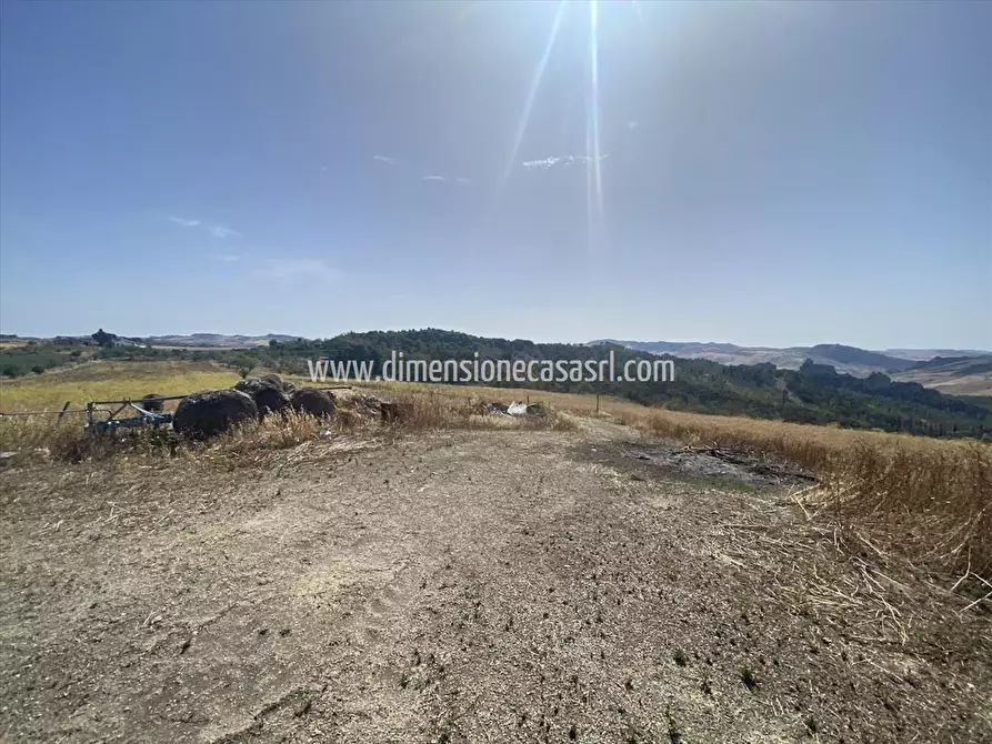 Immagine 5 di Azienda agricola in vendita  in CONTRADA FURIANA SNC a Caltanissetta