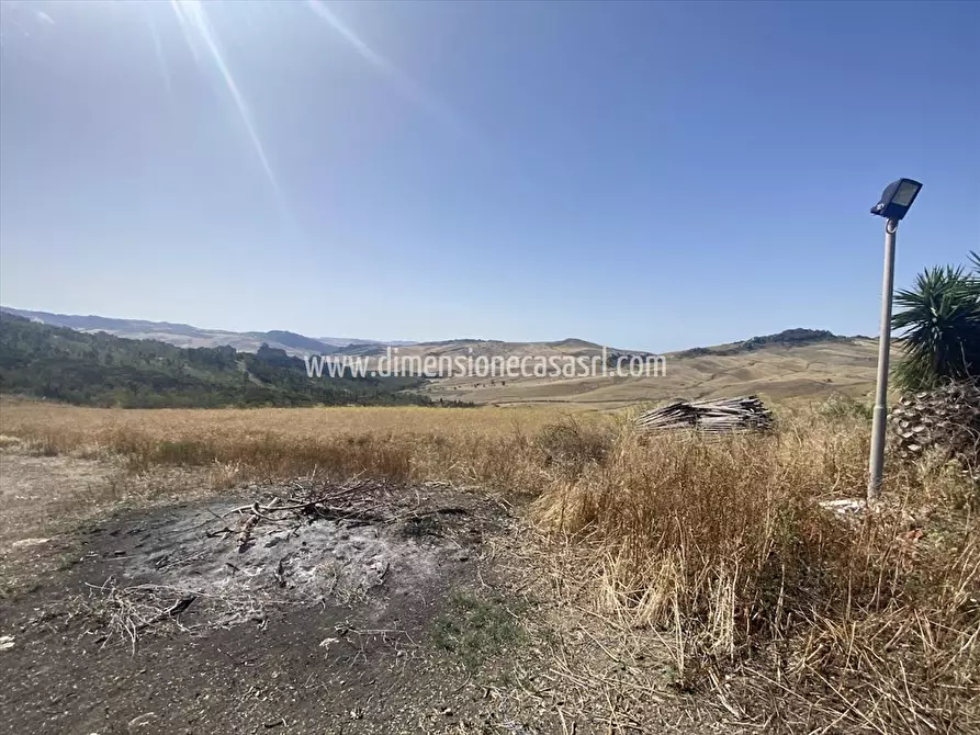 Immagine 6 di Azienda agricola in vendita  in CONTRADA FURIANA SNC a Caltanissetta