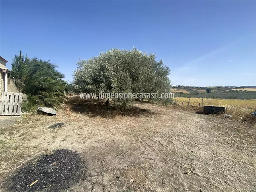 Immagine 8 di Azienda agricola in vendita  in CONTRADA FURIANA SNC a Caltanissetta