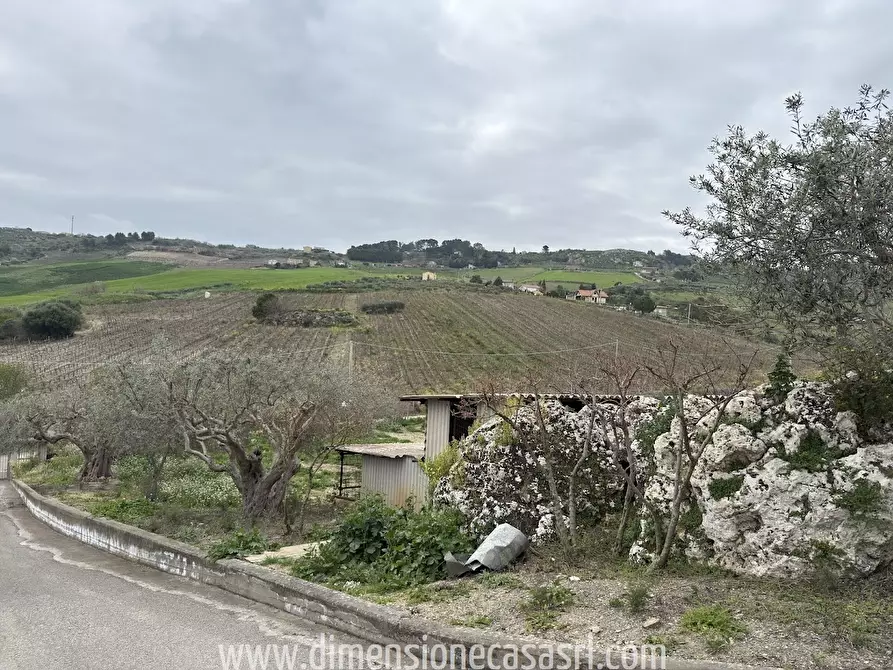Immagine 3 di Terreno agricolo in vendita  in Indirizzo non valido. a San Cataldo