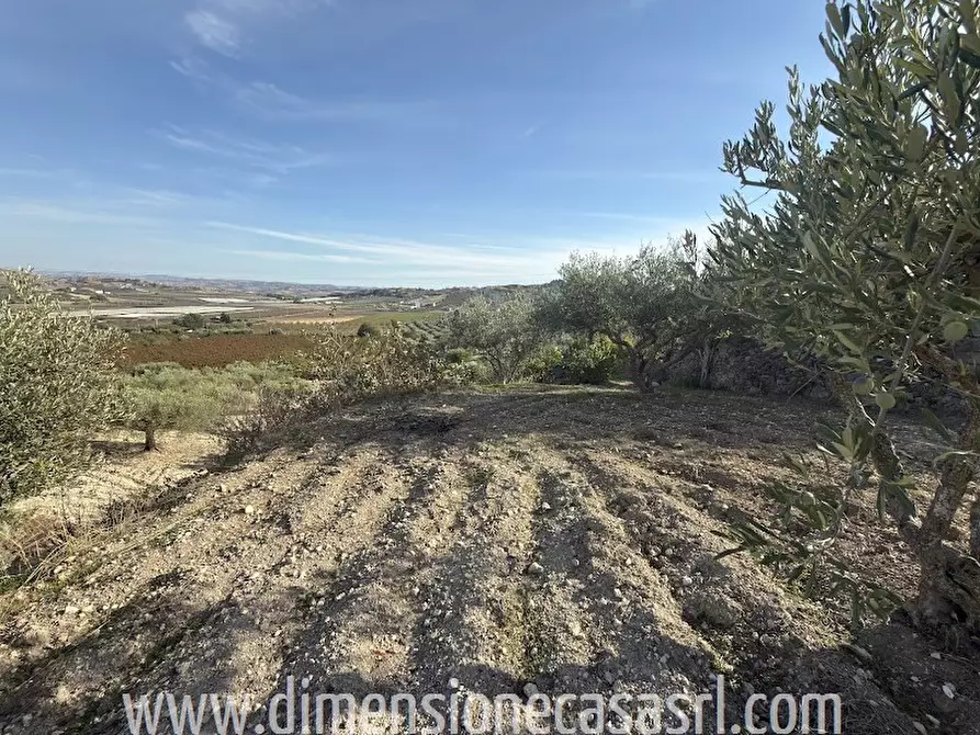 Immagine 4 di Villa in vendita  in Contrada Cusatino a Serradifalco