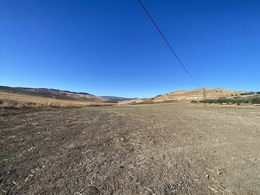 Immagine 6 di Terreno agricolo in vendita  in Contrada San Martino SN a Caltanissetta