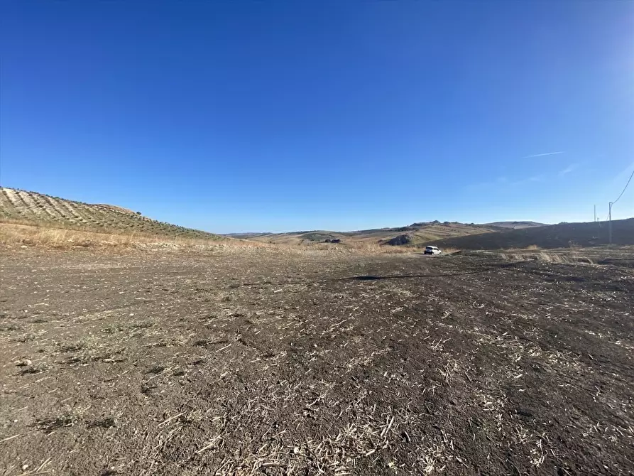 Immagine 7 di Terreno agricolo in vendita  in Contrada San Martino SN a Caltanissetta