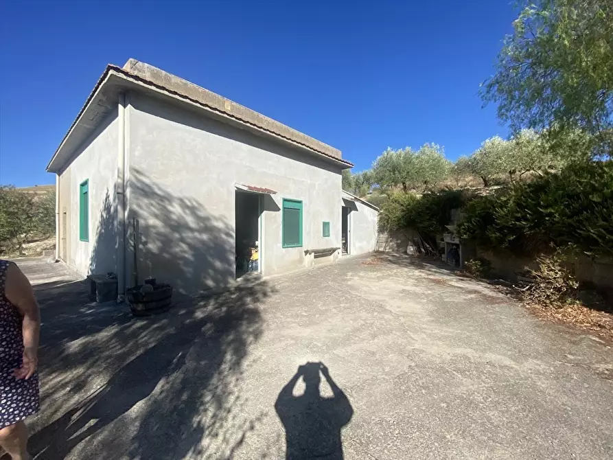 Immagine 8 di Terreno agricolo in vendita  in Contrada San Martino SN a Caltanissetta
