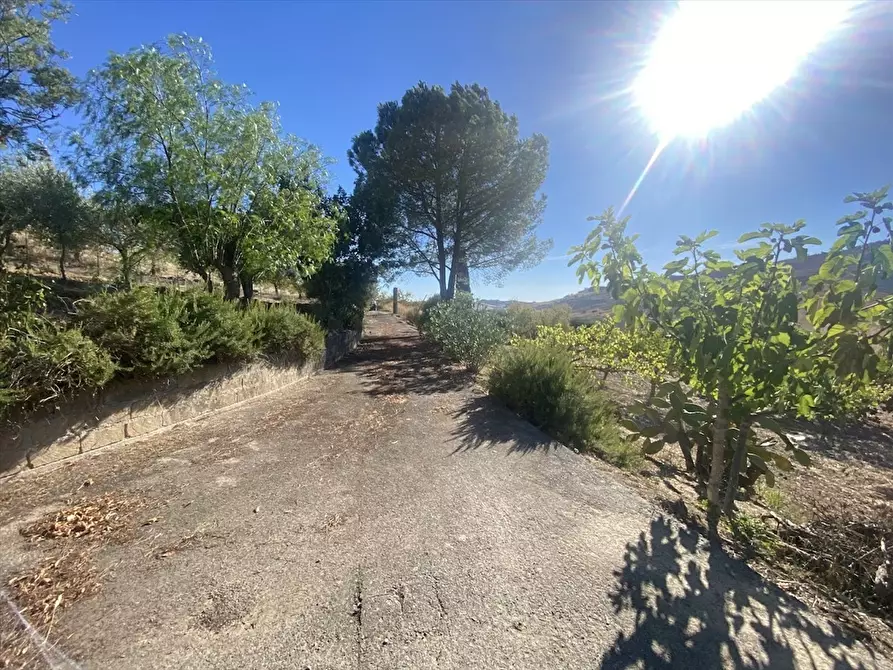 Immagine 10 di Terreno agricolo in vendita  in Contrada San Martino SN a Caltanissetta