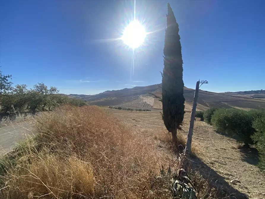 Immagine 3 di Terreno agricolo in vendita  in Contrada San Martino SN a Caltanissetta