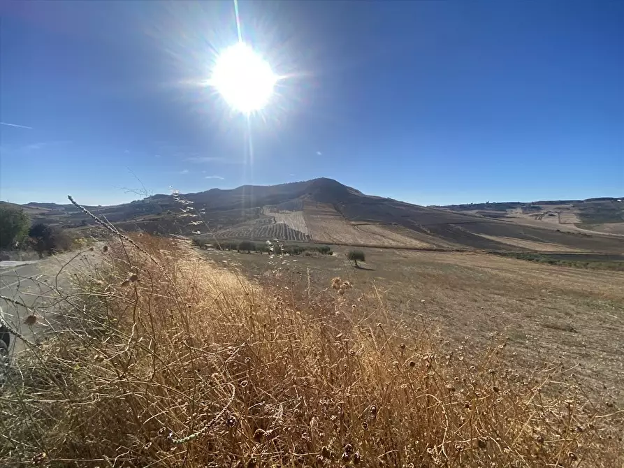 Immagine 4 di Terreno agricolo in vendita  in Contrada San Martino SN a Caltanissetta