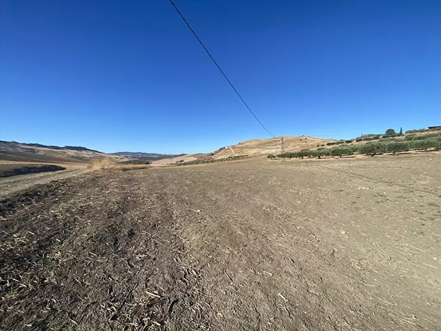 Immagine 5 di Terreno agricolo in vendita  in Contrada San Martino SN a Caltanissetta
