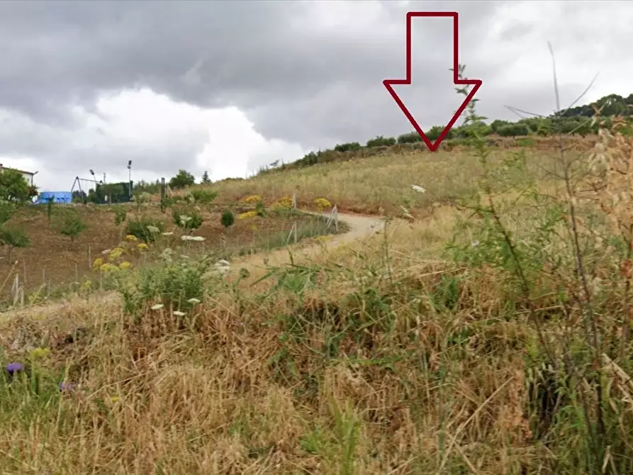 Immagine 3 di Terreno agricolo in vendita  in Contrada Pozziloo SNC a San Cataldo