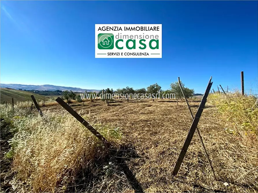 Immagine 1 di Terreno agricolo in vendita  in SP164 a Caltanissetta