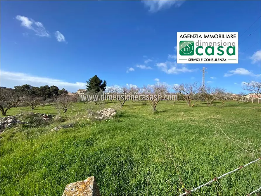 Immagine 1 di Terreno agricolo in vendita  in SP6 a San Cataldo
