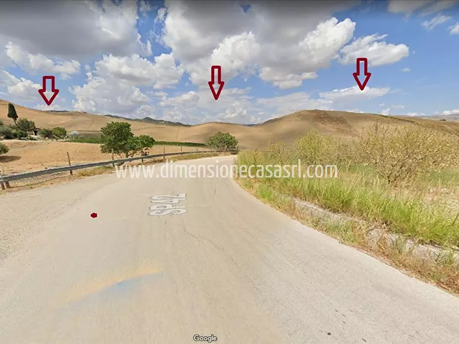 Immagine 3 di Azienda agricola in vendita  in SP42 a Caltanissetta