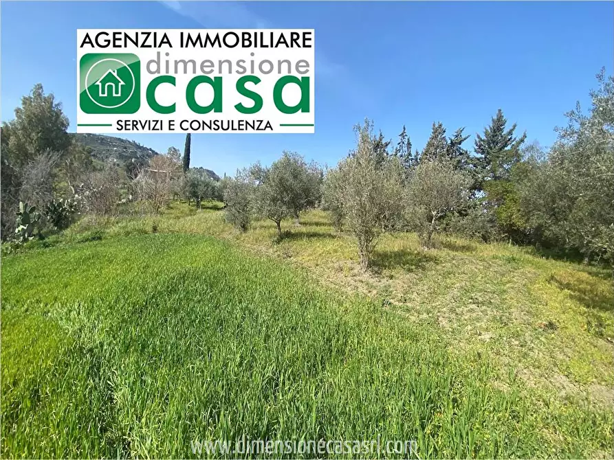 Immagine 1 di Terreno agricolo in vendita  in SP44 a Caltanissetta