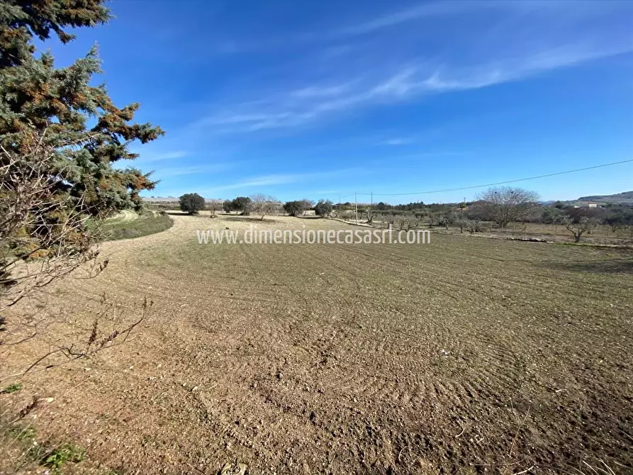 Immagine 5 di Rustico / casale in vendita  in Contrada Vassallaggi a San Cataldo