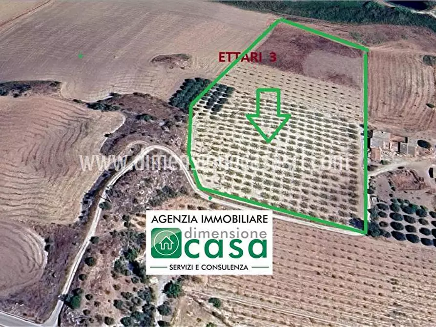 Immagine 1 di Terreno agricolo in vendita  in Contrada Draffù a Caltanissetta