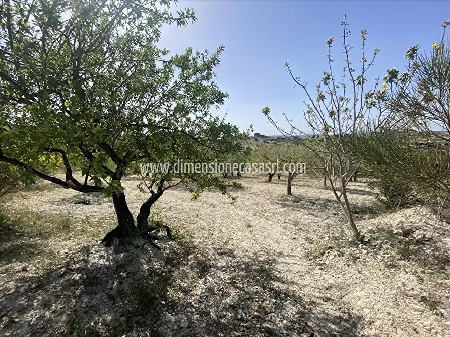 Immagine 9 di Villa in vendita  in Contrada La Pietra SNC a Caltanissetta