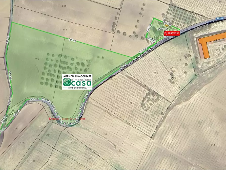 Immagine 11 di Terreno agricolo in vendita  in Contrada San Martino SN a Caltanissetta