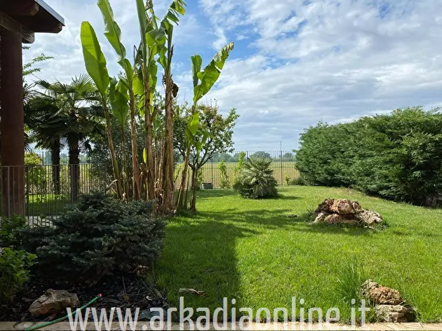 Immagine 3 di Villa in vendita  a Carpaneto Piacentino