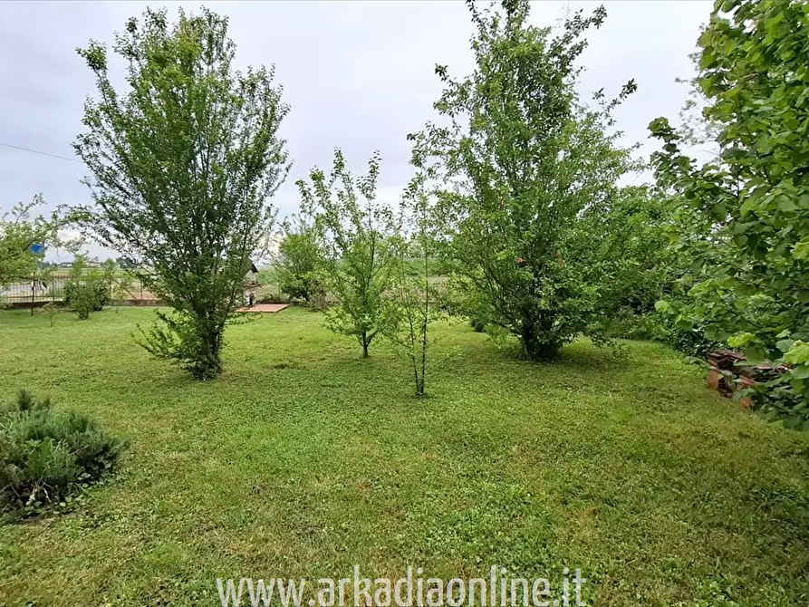 Immagine 4 di Casa indipendente in vendita  a Caorso